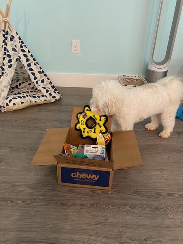 Yay for my new chewy box