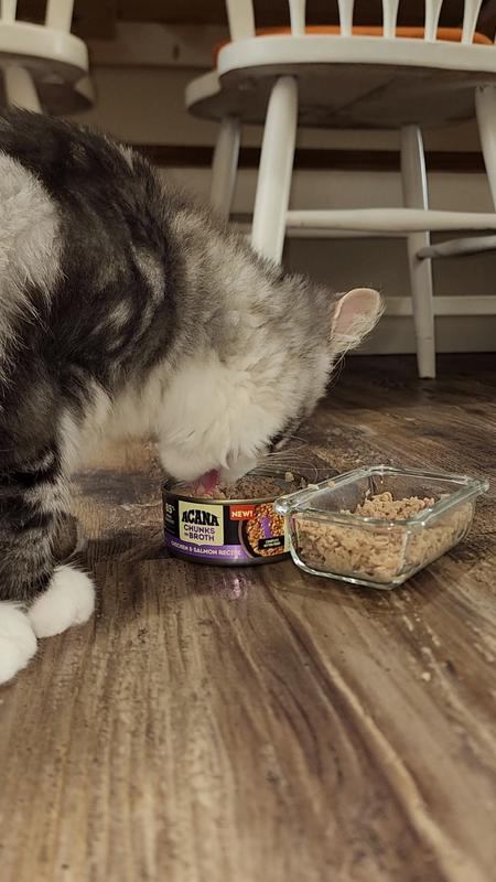 Will eat right out of the can