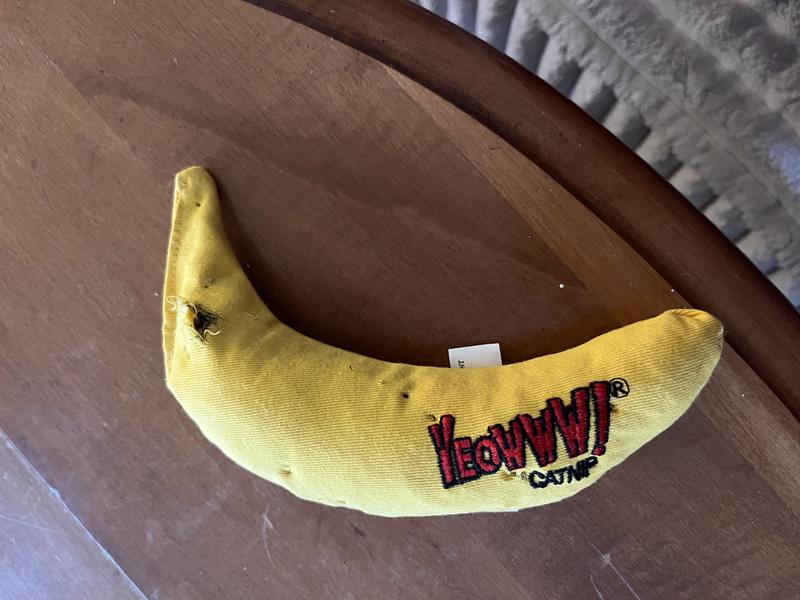 Very quickly torn open spilling catnip