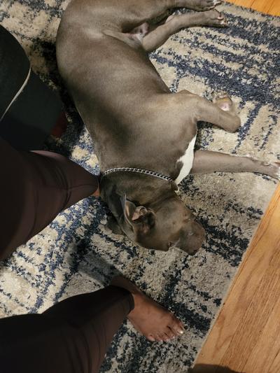 Resting after a good meal