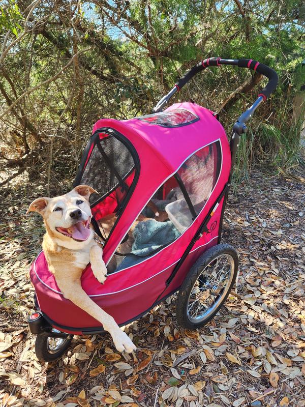 PETIQUE All Terrain Dog & Cat Jogging Stroller, Blazin' Berry