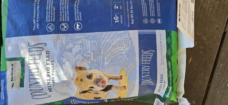 Nutrena mini cheap pig food