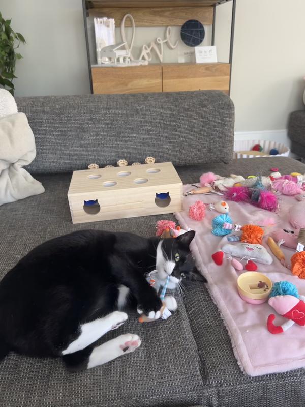 SMARTYKAT Celebration Bundle Cat Toys