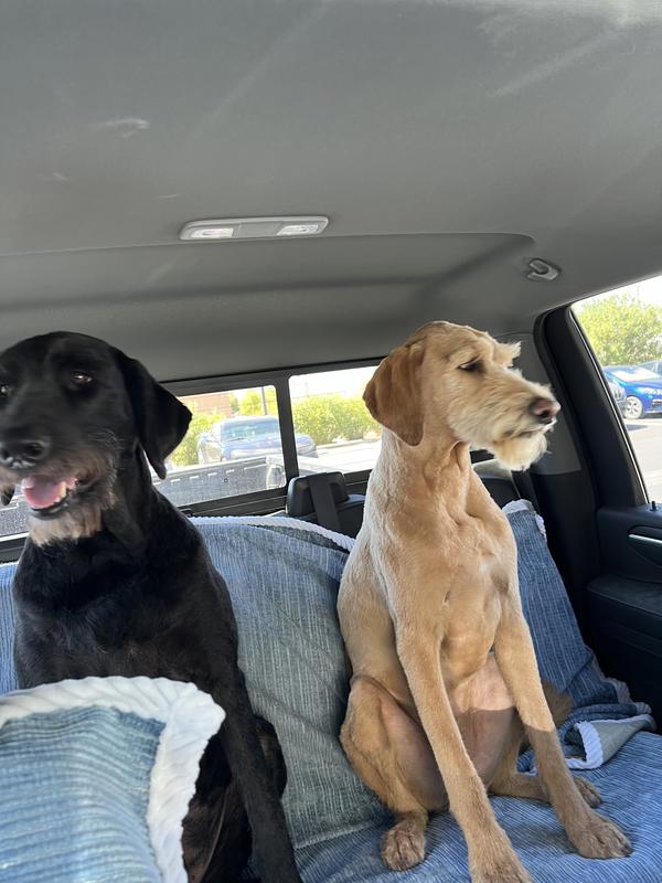 Keeps their course coats feeling good.