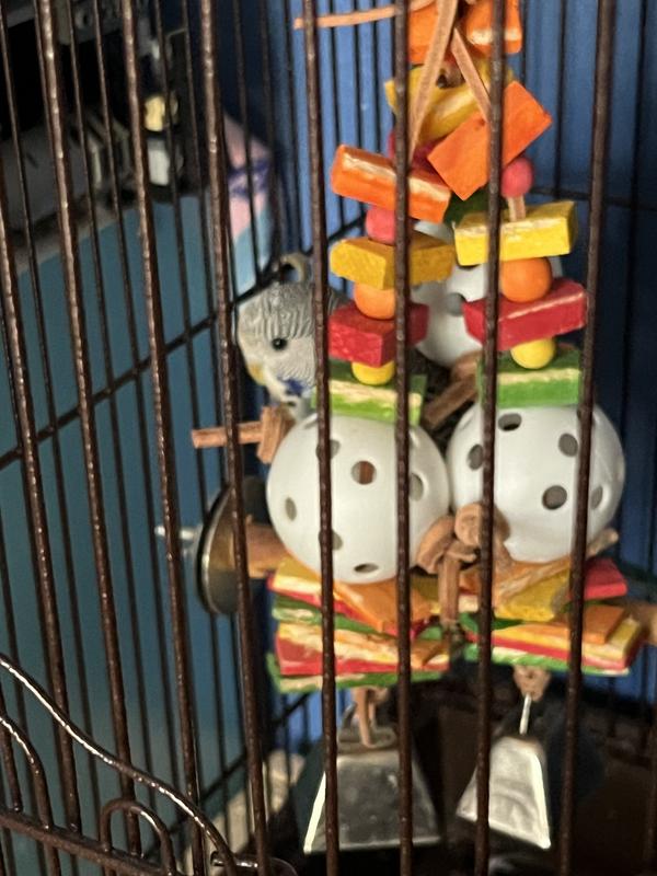 “Can you see me?”