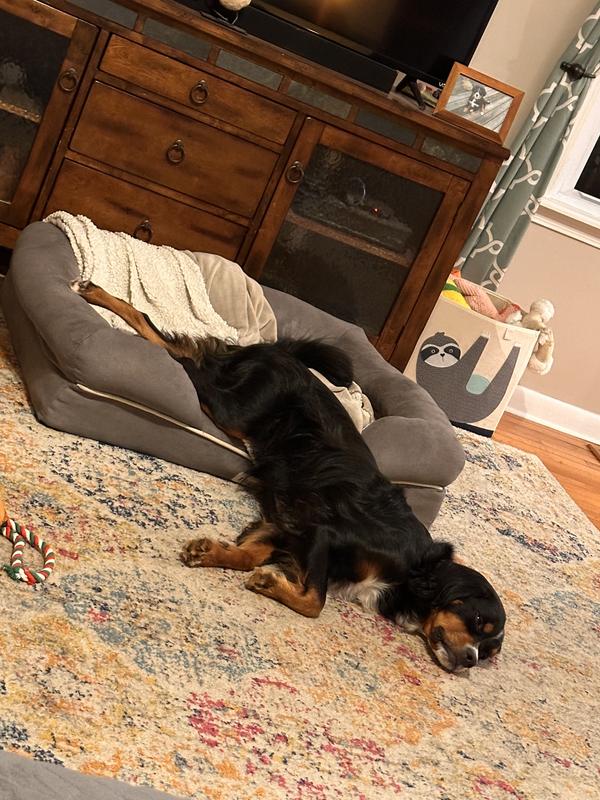 He can be a little dramatic!