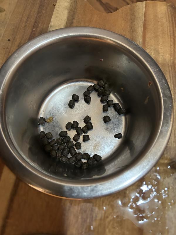 Smaller pieces of kibble she spits out/eats around.