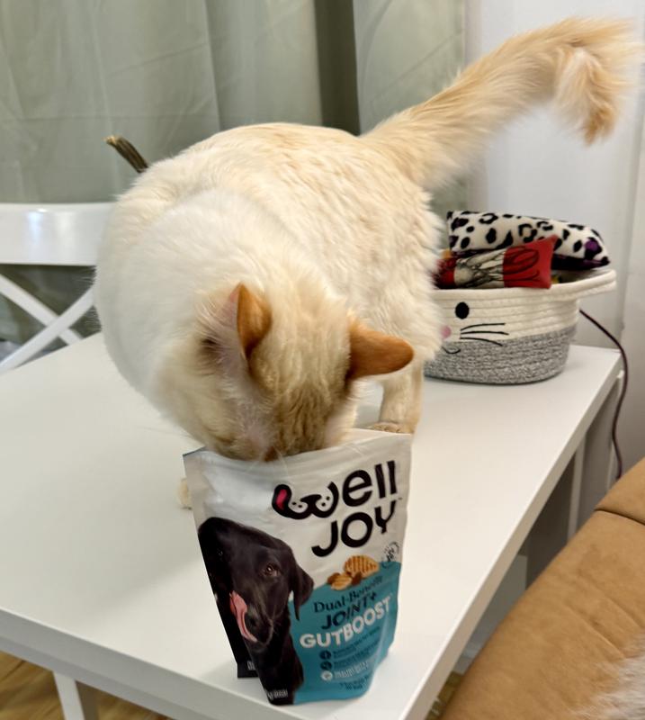 Finnegan also enjoys Well Joy.
