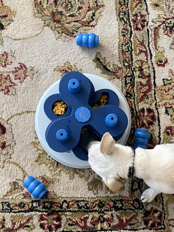 Trixie Flower Tower Dog Activity Strategy Game