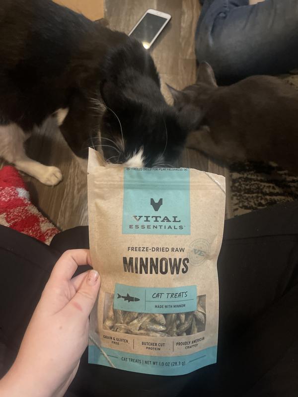 Vital Essentials Salmon Bites Freeze-Dried Raw Cat Treats