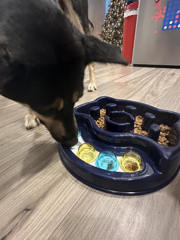 FRISCO Interactive Dog & Cat Slow Feeder Bowl, Beacon Blue Combo