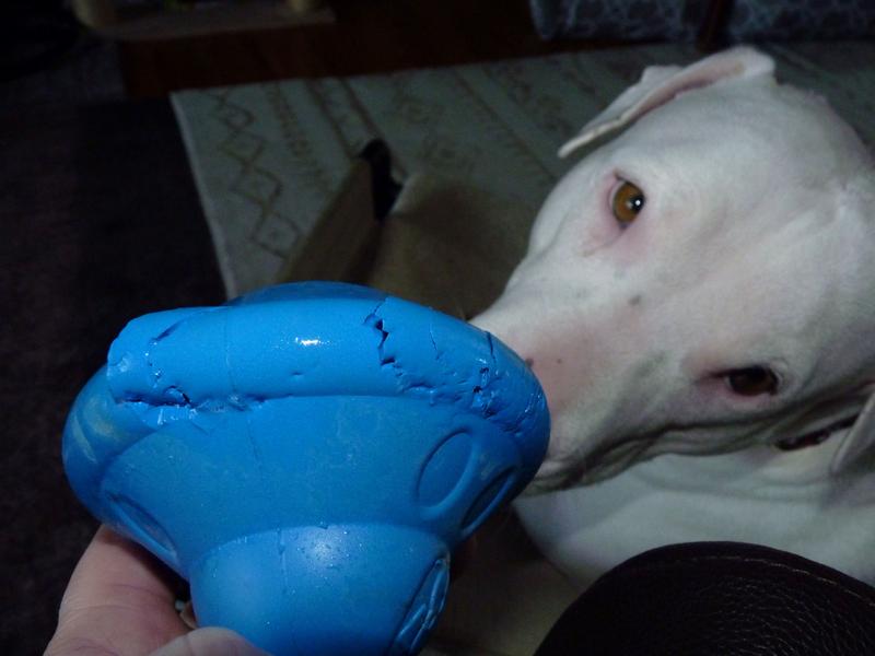 Product Reviews for FRISCO Flying Saucer Rubber Treat Dispenser Dog Toy