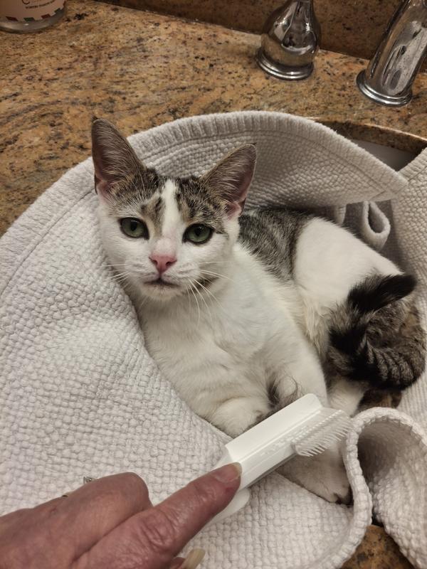 I have endless energy