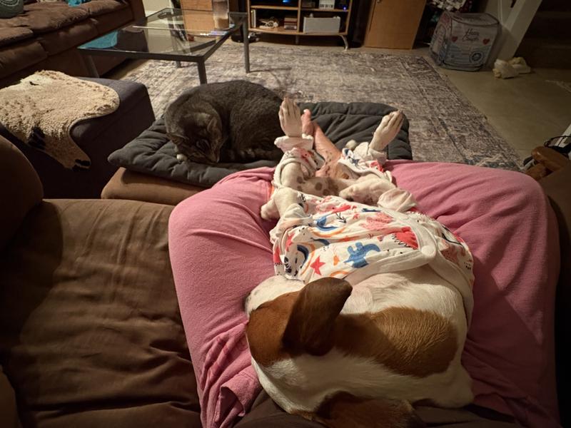 Comfy casual but a bit too big to be snuggled in.