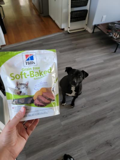 Hill's ideal balance soft baked clearance treats