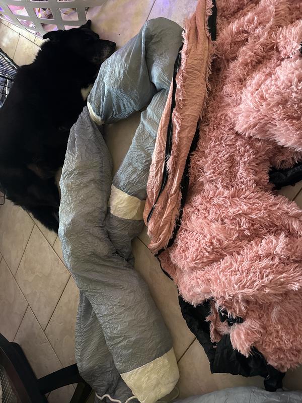 We watched the video numerous times.