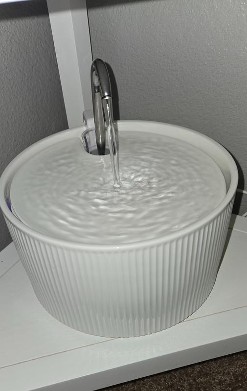 Gorgeously aesthetic