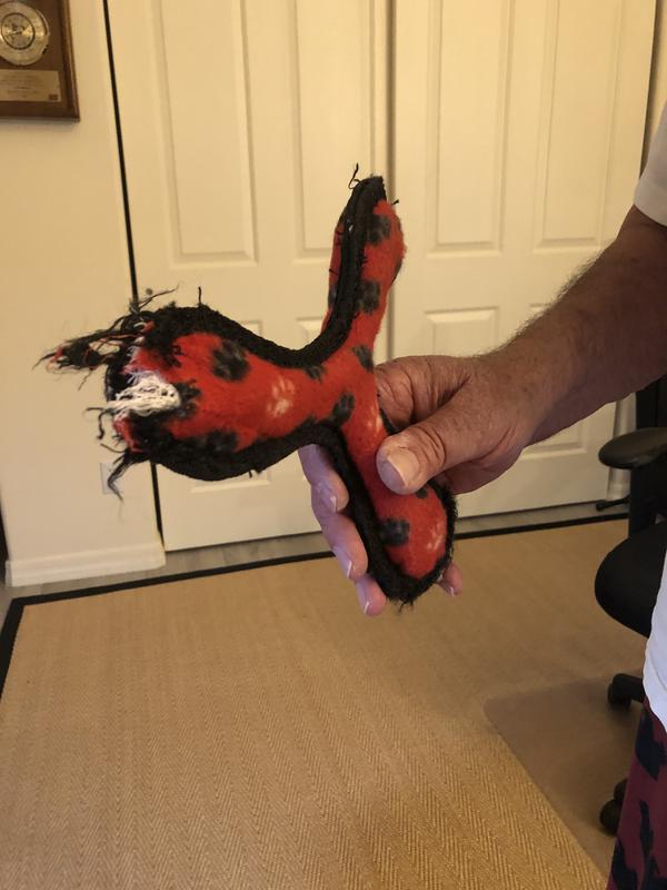 Boomerang