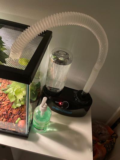 Diy hotsell terrarium fogger