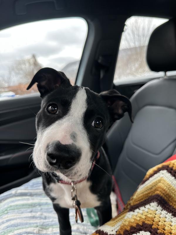 Mercy Grace Rusaleme-McGurk