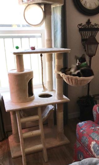 Lounging after she goes potty