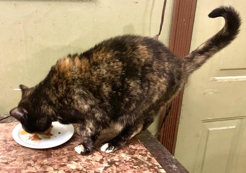 And she ate it right up!