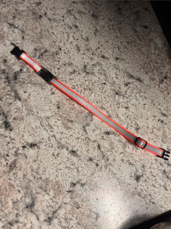 Lots of reflective material