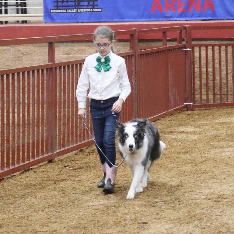 Powered by Chasing Our Tails Dog Treats