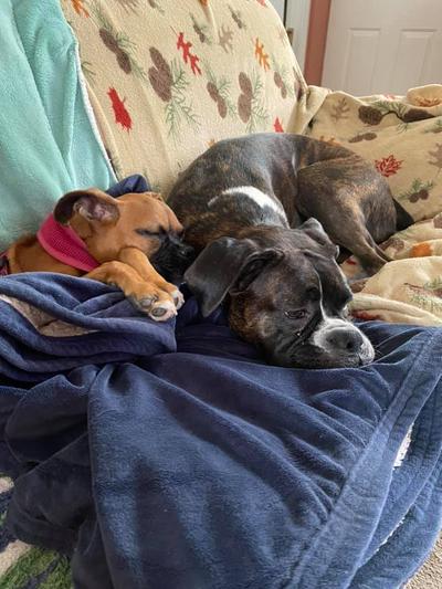 Isabella, Edward and Reeses Pieces