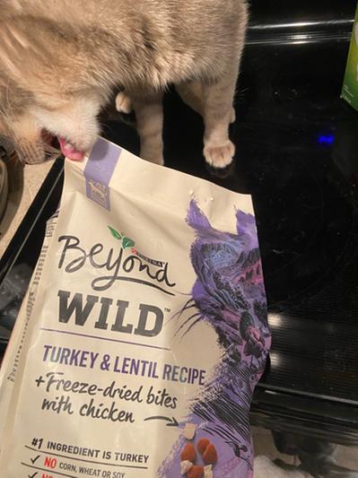 PURINA BEYOND Wild Turkey Lentil Recipe Freeze Dried Bites