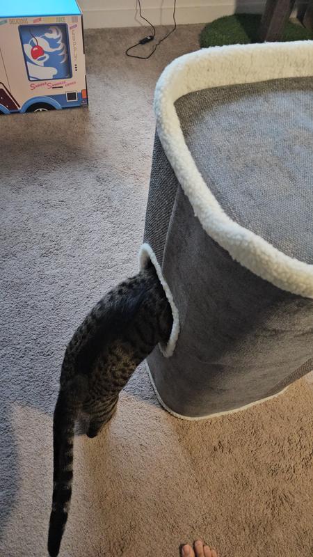 Exploring the second it's out of the box