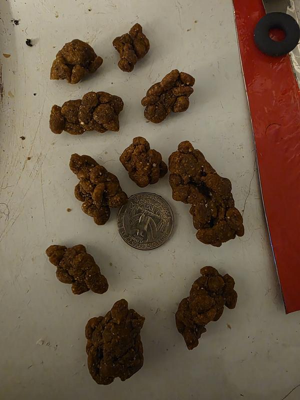 Hill's Science Diet Adult Small Bites Chicken & Barley Recipe Dry Dog Food