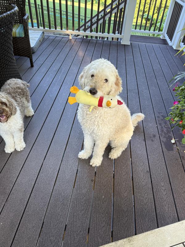 Eddie loves it but it didn’t last long