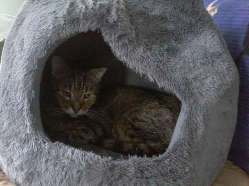 I'm a Happy Customer!