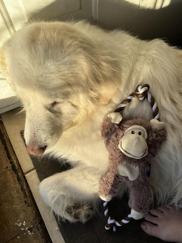Sandy and her birthday monkey