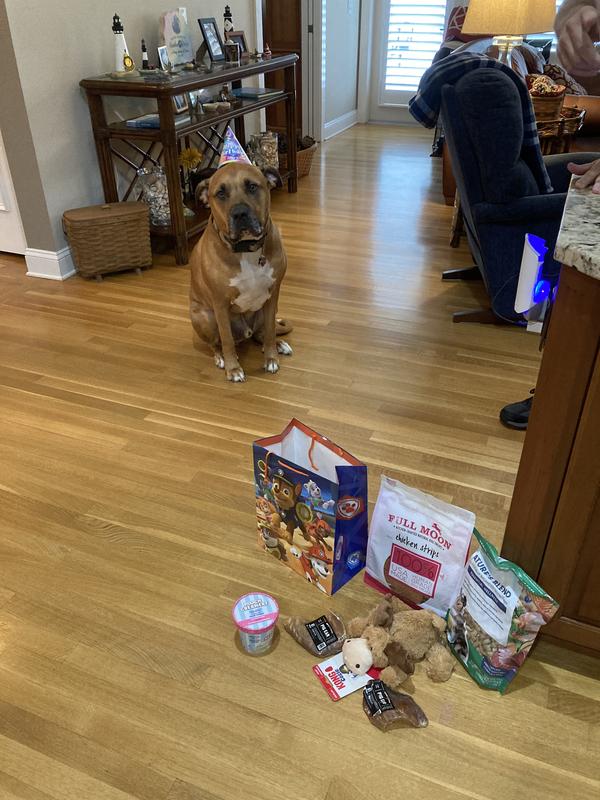 Hank’s birthday celebration!  This was his birthday celebration!