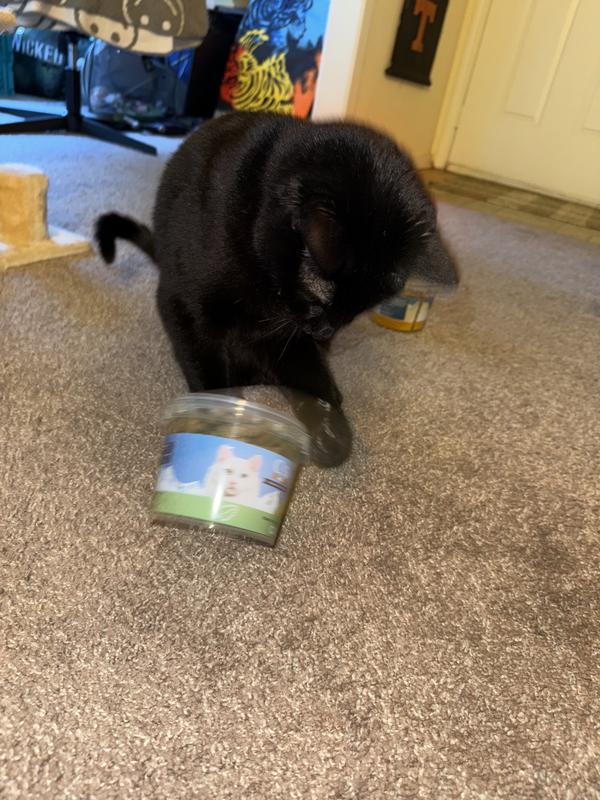 cat nip flavor for the win!