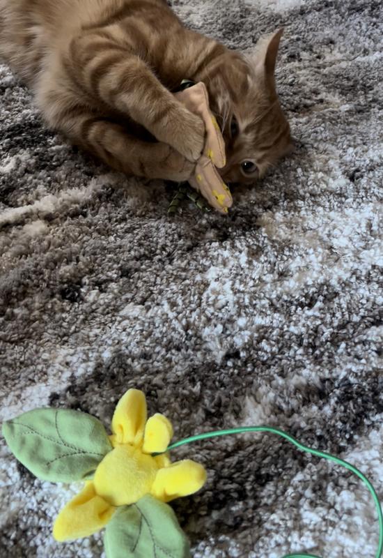 Frisco Spring Plush, Teaser, Ball & Tunnel Variety Pack Cat Toy with Catnip, 10 count