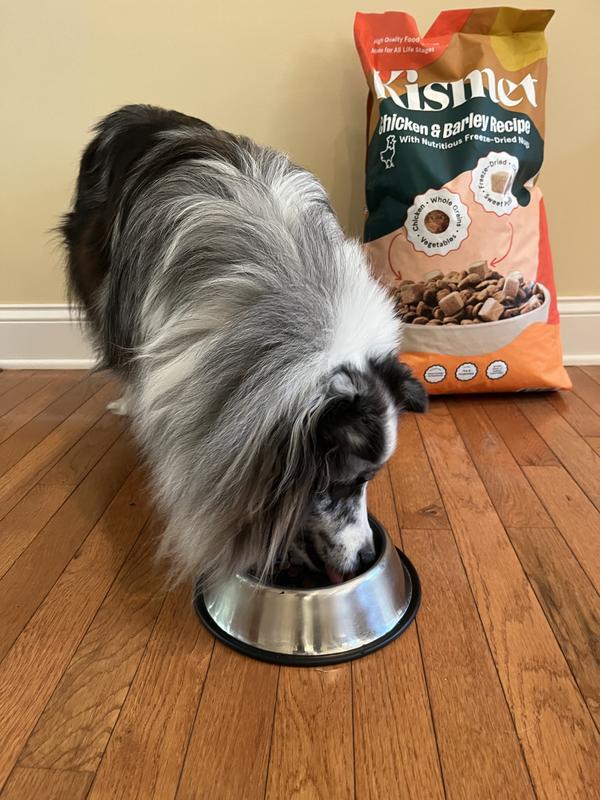 No hesitation on this lunch!