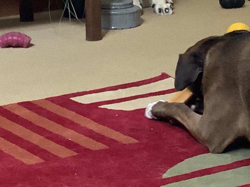 She wants more of these.