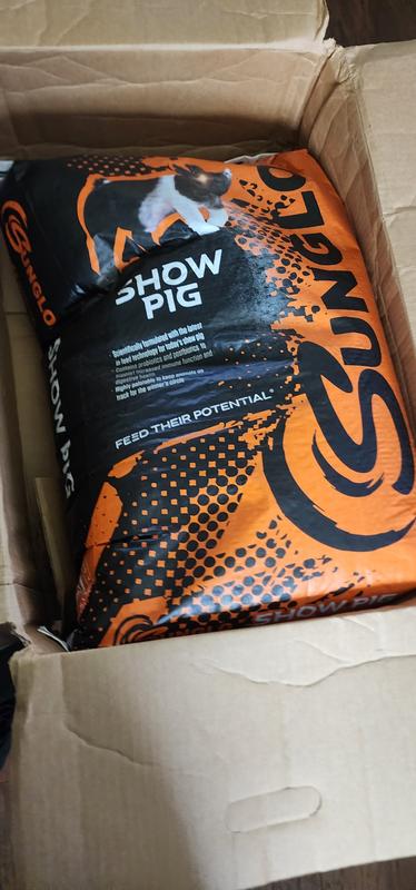 Piggy food safely arriving