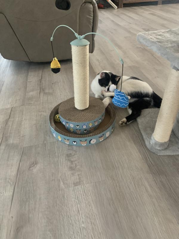 Frisco Fall Squirrel & Acorn Interactive Scratcher Cat Toy with Catnip