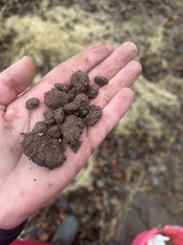 Handful of product chunks found in a scoop of product from the bag