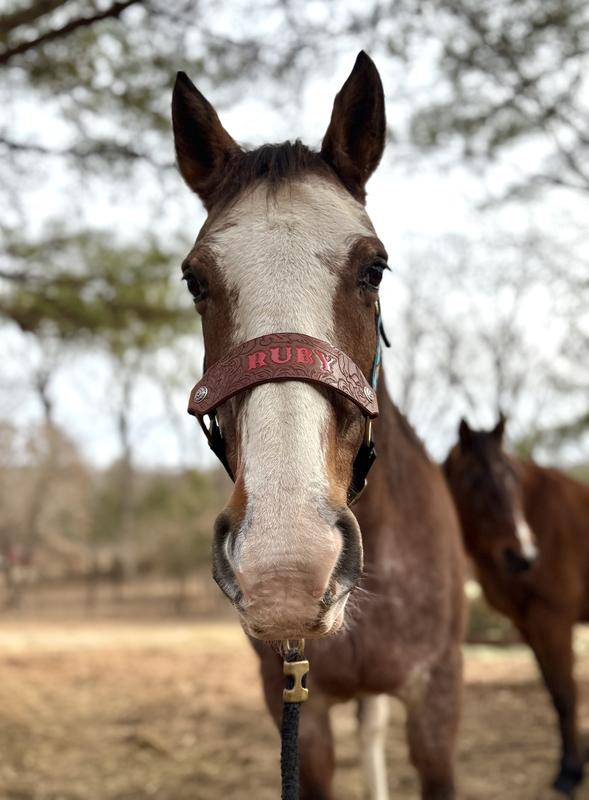 Ruby! My right hand gal!