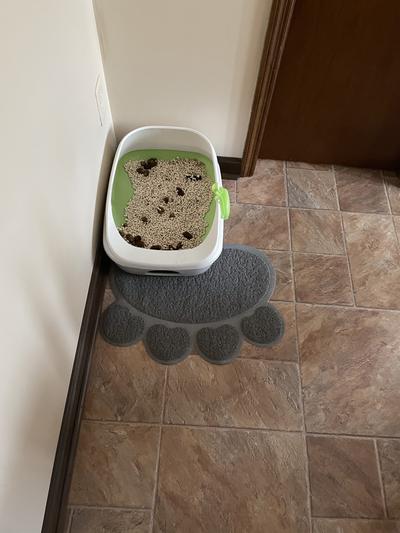 Frisco Paw Shaped Cat Litter Mat