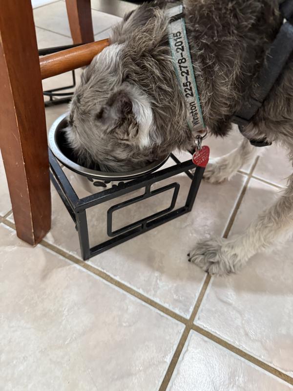 Winston gobbles it up!