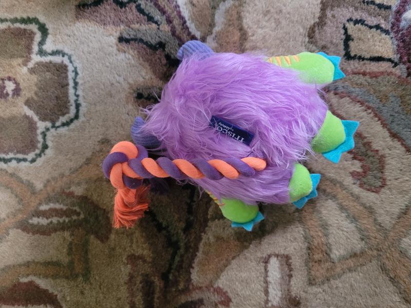 back side - notice that the tail is not centered..  a good thing