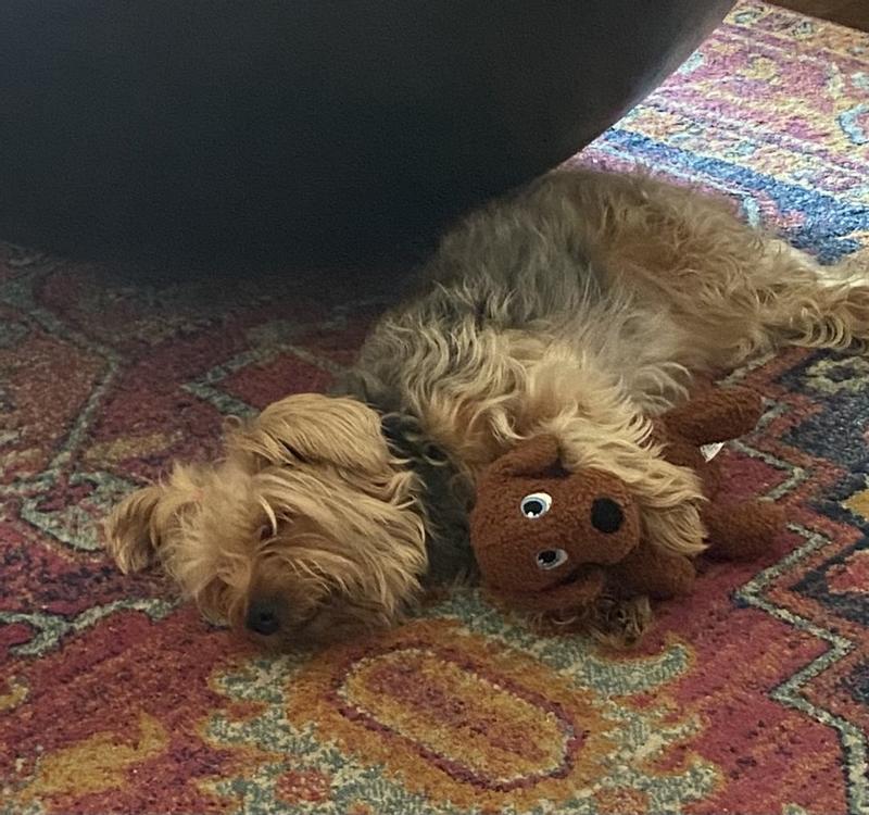 ZOE Says:  LOVE EVERYONE!