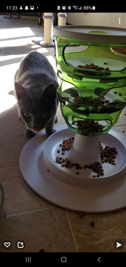 Catit senses 2.0 food tree clearance review