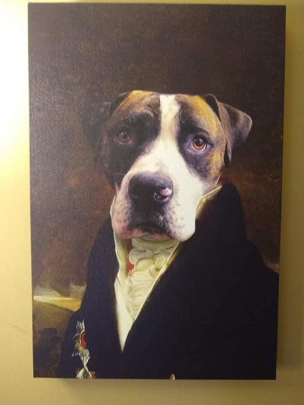 Roscoe in his formal wear.
